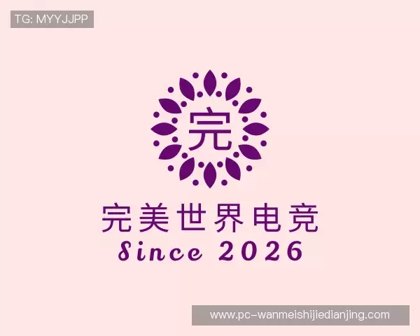 认识完美世界电竞团队